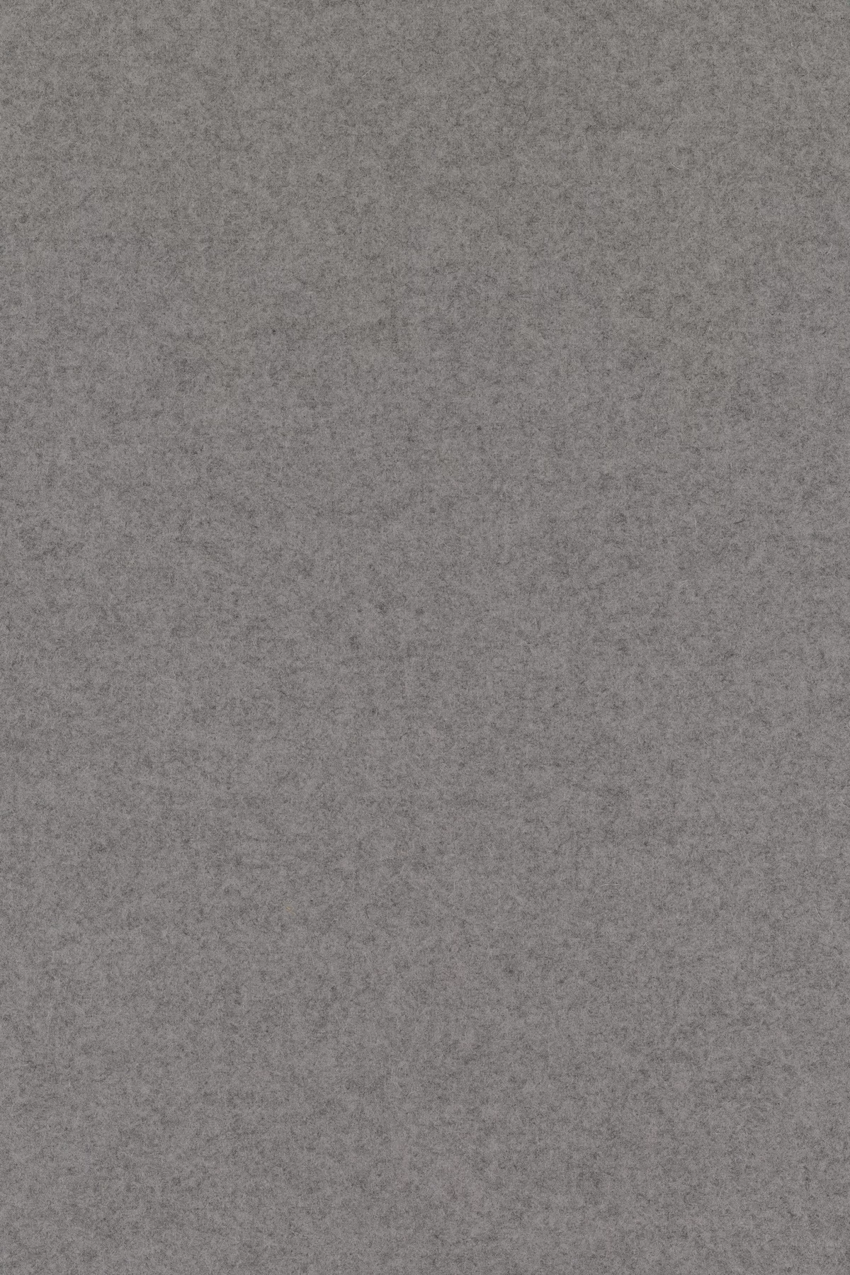 Divina melange 3, 147